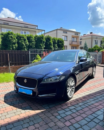 Jaguar XF cena 86900 przebieg: 99400, rok produkcji 2017 z Zamość małe 137